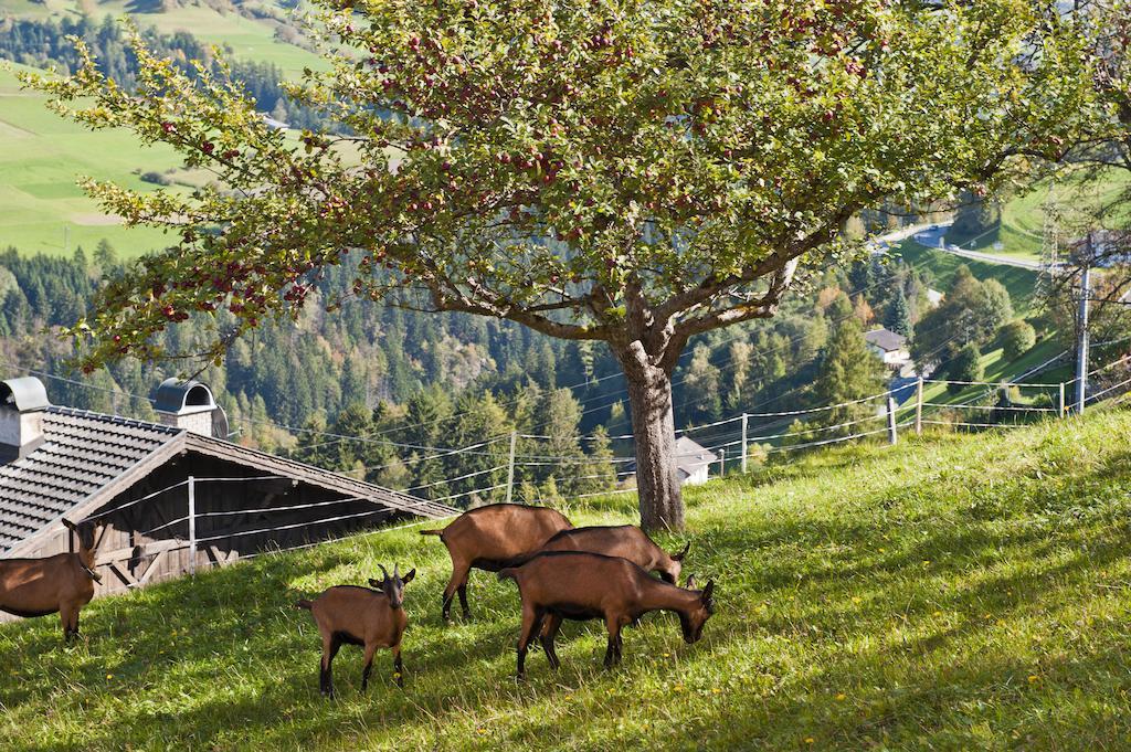 Hotel Gasthof Handl Schönberg im Stubaital Dış mekan fotoğraf